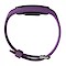 Lime 117HR Purple
